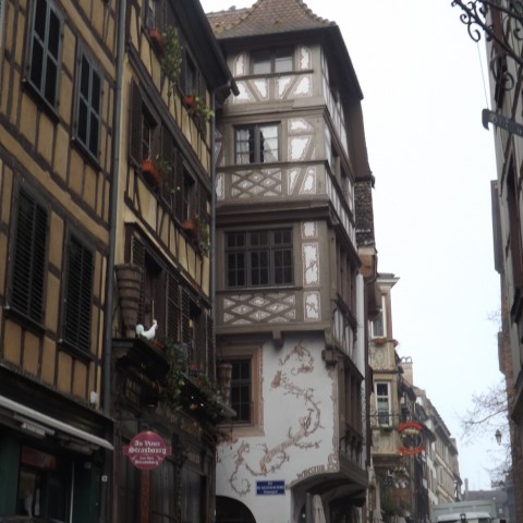 Visita a Strasburgo 05