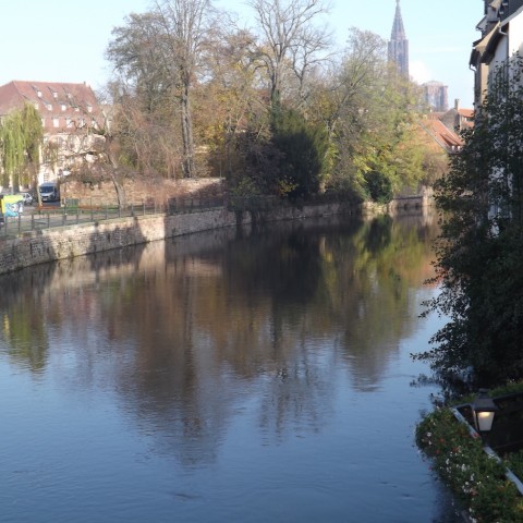 Visita a Strasburgo 21
