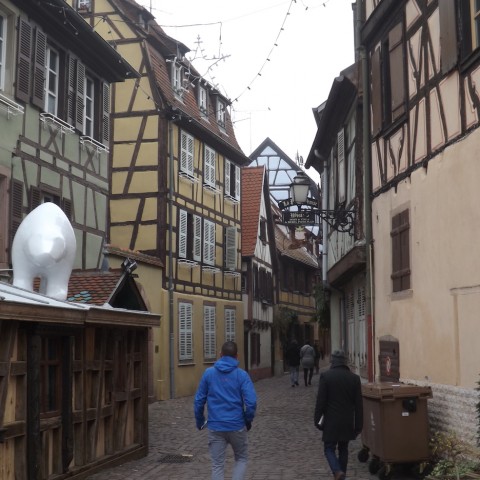 Visita a Strasburgo 30